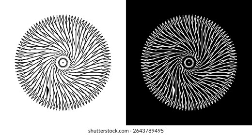 Abstract background with line pattern forming circle. Spiral art design as logo or icon. Black lines on white background and same white lines on black side. Mandala with line pattern.