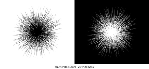 Abstract background with lines in chaos like fireworks or bacteria. A black figure on a white background and the same white figure on the black side.