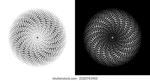Abstract background with lines pattern in circles. Spiral art design as logo or icon. A black figure on a white background and the same white figure on the black side. Mandala with line pattern.