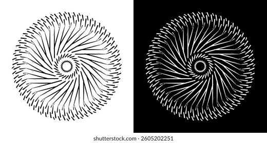 Abstract background with lines pattern in circles. Spiral art design as logo or icon. A black figure on a white background and the same white figure on the black side. Mandala with line pattern.