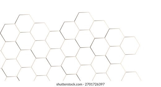 Abstract background with lines. white texture background. hexagon abstract background. Surface polygon pattern with glowing hexagon paper texture and futuristic business. 
