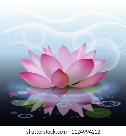 Abstract background with lotus, lotus flower on water. Beautiful water flower. 3D effect. Vector illustration.