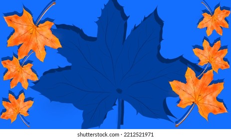 Abstract background, maple leaf, autumn