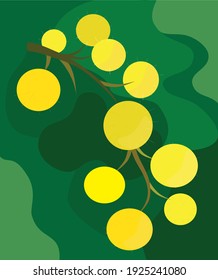 fondo abstracto con ramificación mimosa, vector ramificación mimosa