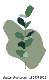 Abstract background with a minimalistic branch of eucalyptus, for the design of banners, posters, covers, business cards, home decor. Modern vector illustration for decoration and postcards. Botanical
