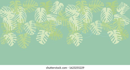 Abstract background with monstera leaves.