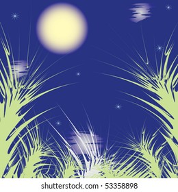 Abstract background with moon, stars, clouds and eared grasses