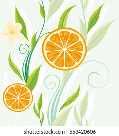 Abstract background with oranges , tangerines, leaves and plants. Vector illustration.