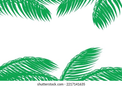 Abstract background of palm or coconut leaves above and below. Green nature pattern. in the center of the copy area. For advertisements, business cards, brochures and white backgrounds.