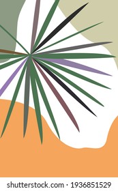 Antecedentes abstractos con hojas de palma, para el diseño de carteles, carteles, cubiertas, tarjetas de visita, decoración casera. Ilustración vectorial moderna para decoración y postales. Diseño de arte botánico minimalista.