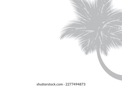 Abstract background of palm leaves or coconut leaves on top. Natural pattern, gray shadow. Copy area. For advertisements, business cards, brochures and white backgrounds.