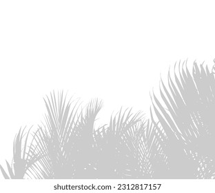 Abstract background of palm leaves or coconut leaves below. Natural pattern, gray shadow. Copy space. For advertisements, business cards, brochures and white backgrounds.