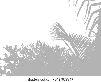 Abstract background of palm leaves or coconut leaves on top. Natural pattern, gray shadow. Copy space or empty. For advertisements, business cards, brochures and white backgrounds.