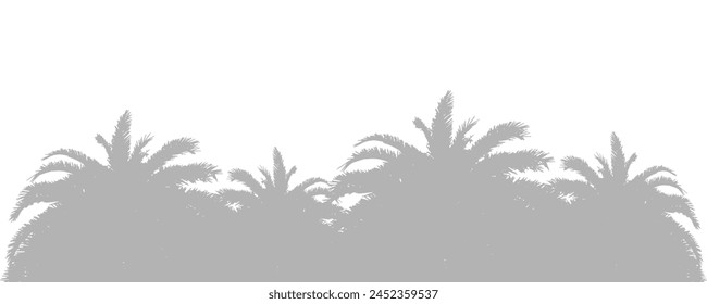 Abstract background of palm leaves or coconut leaves. Natural pattern, gray shadow. Copy space or empty. For advertisements, business cards, brochures and white backgrounds.