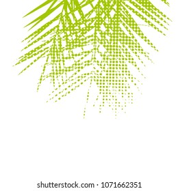 Abstract background with palm leaves. Vector