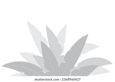 Abstract background of palm tees or coconut trees. Natural pattern, gray shadow. Above copy space. For advertisements, business cards, brochures and white backgrounds.