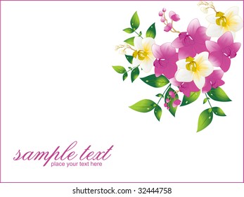 abstract background with pink beautiful card, vector illustration