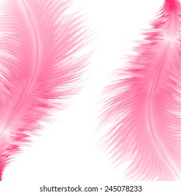 Abstract background with pink feathers. Eps10