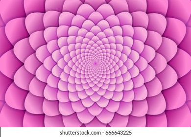 Abstract background. Pink spiral flower pattern. Abstract Lotus Flower. Esoteric Mandala Symbol. vector illustration.