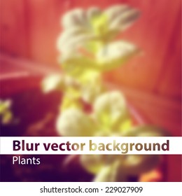 abstract background with a plant