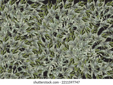 Abstract background - plant motifs for holidays or events. Tropical flowers for backgrounds and textures, fashion, covers, fabrics, interior solutions, scrapbooking, prints, textiles, wallpaper, etc.