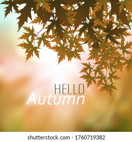 
Abstract background, poster design with autumn leaves. Hello, Autumn
