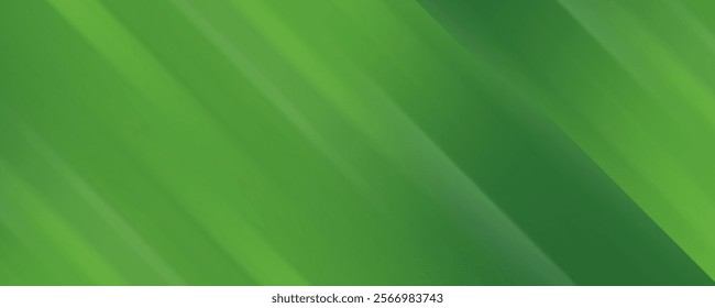 abstract background of realistic green curved gradient shading. vector design concept. Decorative web layout or poster, banner Illustration