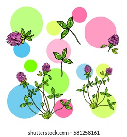 Abstract background with red clover leaves and flowers. Vector illustration