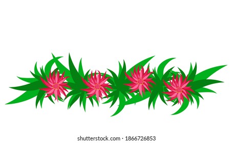Abstract background of red flowers and leaves of cactus