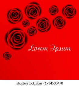 Abstract background with red roses. Vector illustration