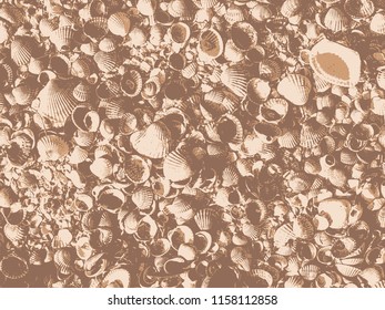 Abstract Background With Seashells. Grunge Texture. Vector illustration.