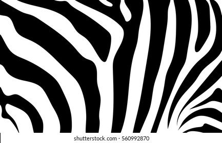 199,717 Zebra Stripes Images, Stock Photos & Vectors | Shutterstock