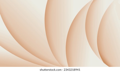 Abstract background soft gradient color and dynamic shadow on background .Vector background for wallpaper. Eps 10