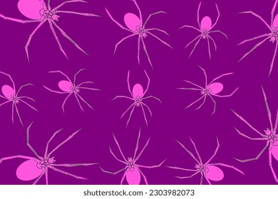 Abstract background with spiders. Black widow spiders scattered on a violet background. The concept of poisonous animals