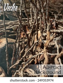 abstract background sticks and coconut