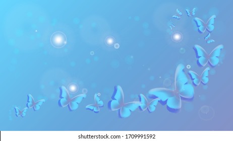 blue butterfly abstract backgrounds