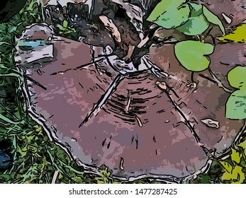 Abstract background Stump texture, remainder of sawn tree
