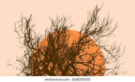 abstract background sunset on trees branches