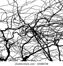 abstract background of swirly branches or flash or wain