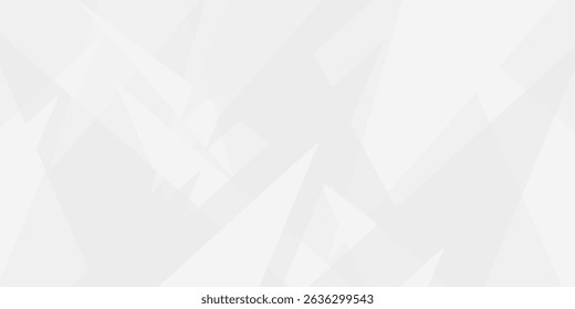 Abstract background ,Technology modern style overlay, with space for design, text input, vector illustration. space design concept. Geometric white and gray color background. paper texture design .