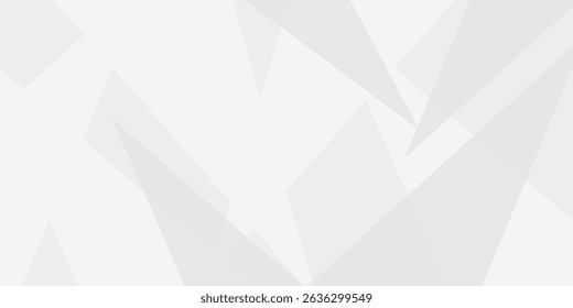 Abstract background ,Technology modern style overlay, with space for design, text input, vector illustration. space design concept. Geometric white and gray color background. paper texture design .