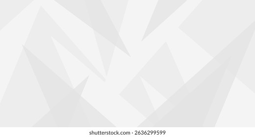 Abstract background ,Technology modern style overlay, with space for design, text input, vector illustration. space design concept. Geometric white and gray color background. paper texture design .