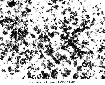 Abstract background texture. Vector. Just create a rough effect, splatter, dirt, poster for your design.