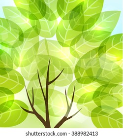 abstract background with transparent leaves and light shining through. vector