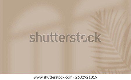 Abstract Background with Tropical Palm Leaf and Arch Window Shadows on Beige Wall