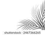 Abstract background of tropical palm leaves. Shadow effects with tropical palm leaves.