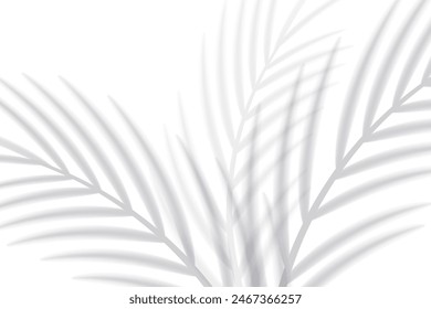 Abstract background of tropical palm leaves. Shadow effects with tropical palm leaves.