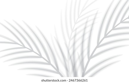 Abstract background of tropical palm leaves. Shadow effects with tropical palm leaves.