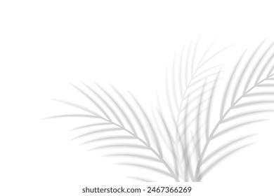 Abstract background of tropical palm leaves. Shadow effects with tropical palm leaves.