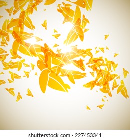 abstract background: turtle